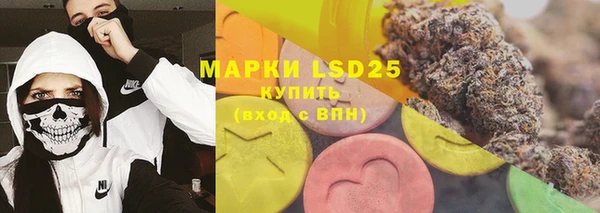ПСИЛОЦИБИНОВЫЕ ГРИБЫ Горняк
