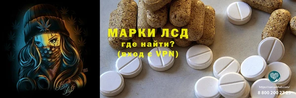 ПСИЛОЦИБИНОВЫЕ ГРИБЫ Горняк