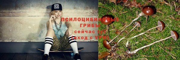 ПСИЛОЦИБИНОВЫЕ ГРИБЫ Горняк