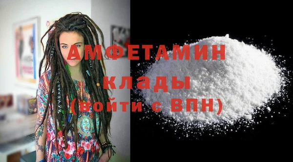 ПСИЛОЦИБИНОВЫЕ ГРИБЫ Горняк