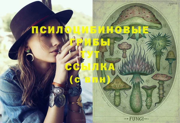 ПСИЛОЦИБИНОВЫЕ ГРИБЫ Гусиноозёрск