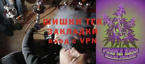 ПСИЛОЦИБИНОВЫЕ ГРИБЫ Горняк
