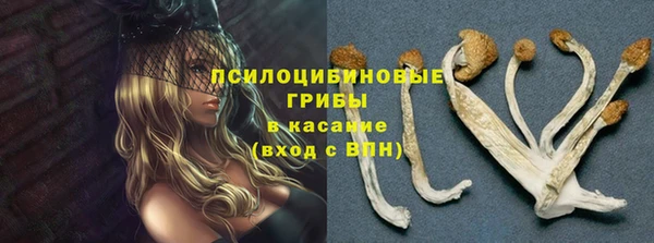 метадон Гусь-Хрустальный