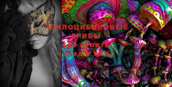 ПСИЛОЦИБИНОВЫЕ ГРИБЫ Горняк