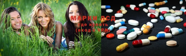 ПСИЛОЦИБИНОВЫЕ ГРИБЫ Горняк